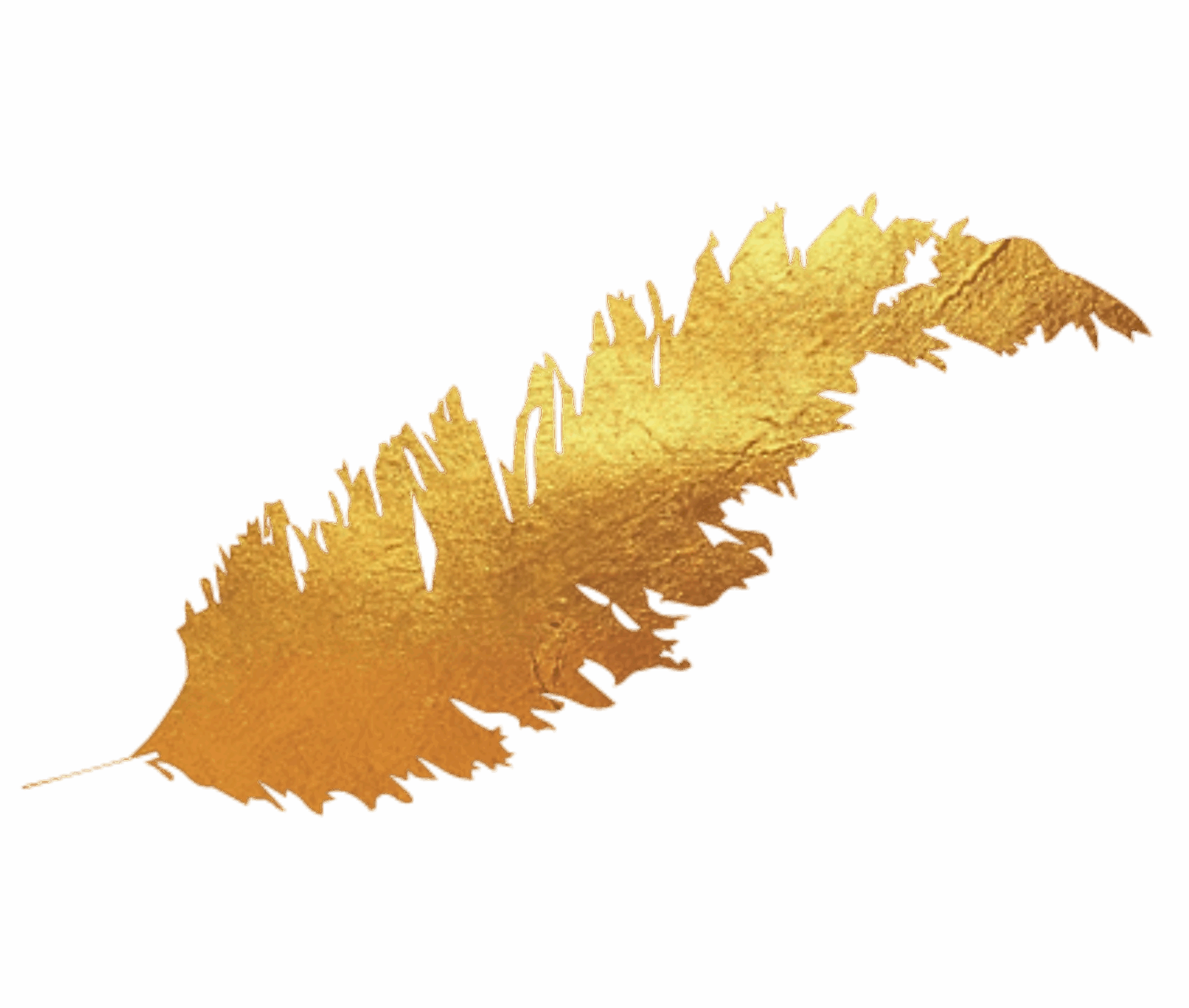 Spadonis